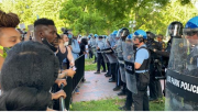 “新西兰搁浅的鲸鱼：为什么那么多鲸鱼会搁浅”
